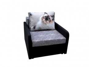 Кресло кровать Канзасик с подлокотниками кот голубые глаза в Коркино - korkino.mebel74.com | фото