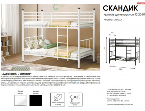 Кровать двухъярусная Скандик 42.20-01 в Коркино - korkino.mebel74.com | фото 2