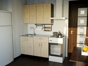 Кухонный гарнитур Ника лайт 1200 мм в Коркино - korkino.mebel74.com | фото 1