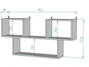 Полка S107 в Коркино - korkino.mebel74.com | фото 3