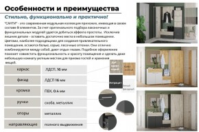 Прихожая Санти Белый/Дуб Крафт Золотой в Коркино - korkino.mebel74.com | фото 3