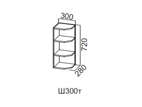 Ш300т/720 Шкаф навесной 300/720 (торцевой) в Коркино - korkino.mebel74.com | фото